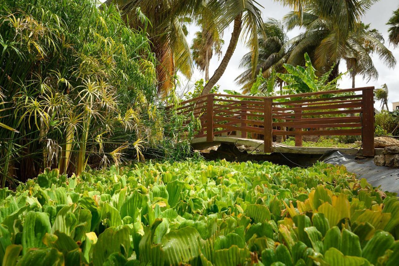 Captain Don'S Habitat Kralendijk  Luaran gambar